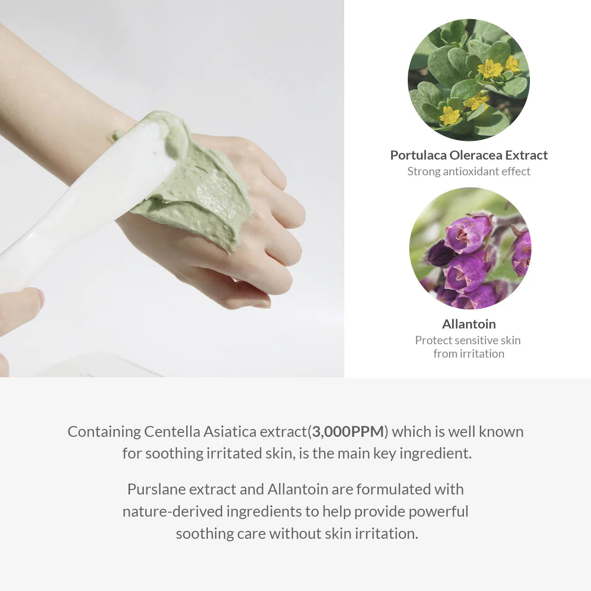 Premium Cica Modeling Mask Set : calmante y reparadora (5 piezas)