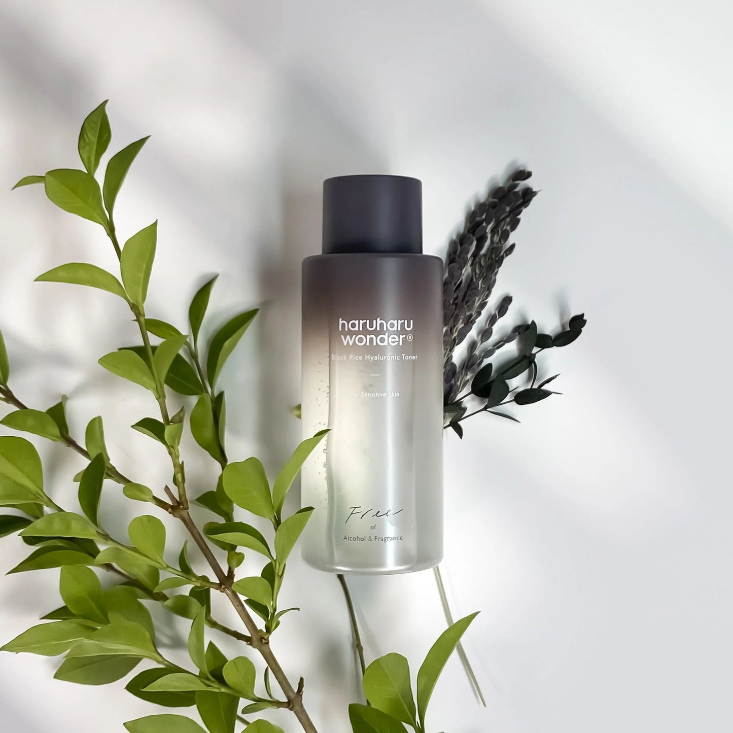 Black Rice Hyaluronic Toner (300ml) - Extra Hidratante y Refrescante