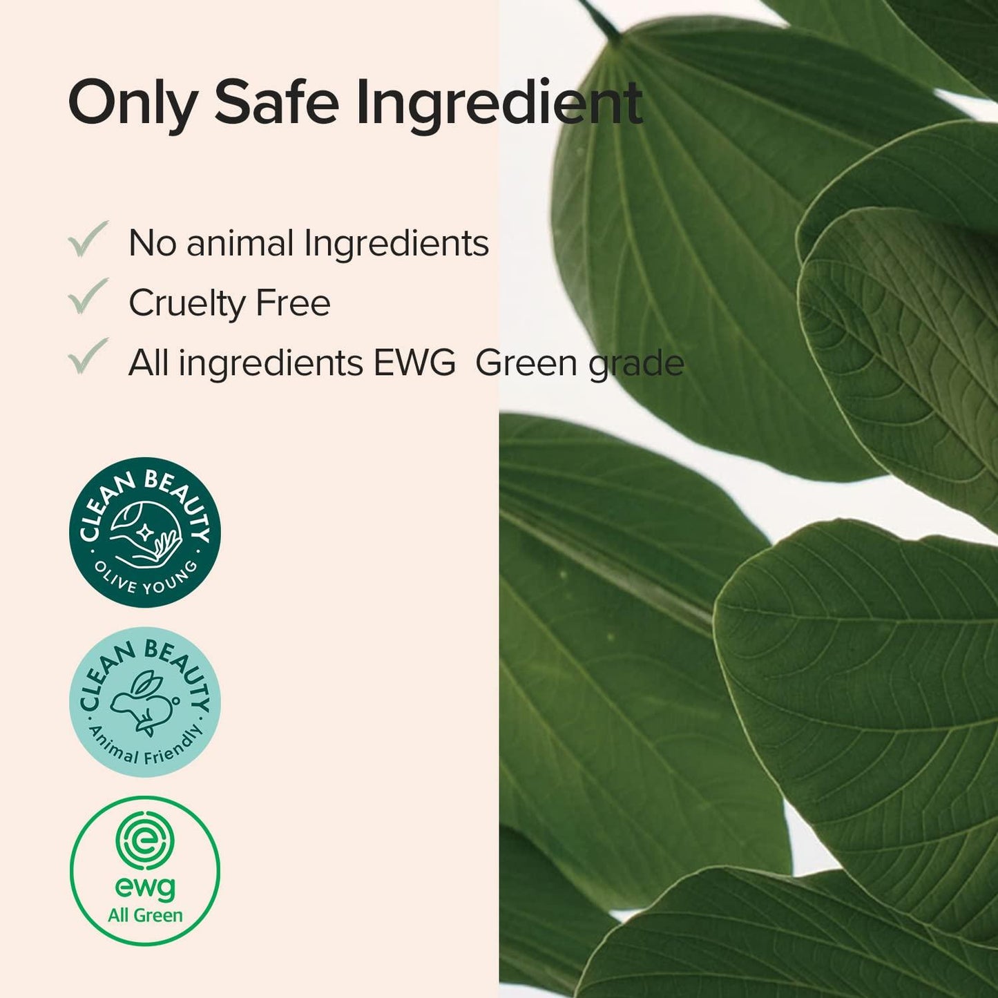 Gluconolactone (PHA) + Betula Alba Juice Cleansing Pad -piel limpia e hidratada