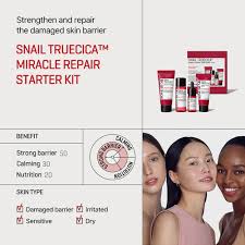 Snail Truecica Miracle Repair Starter Kit: rutina de reparación de 4 partes