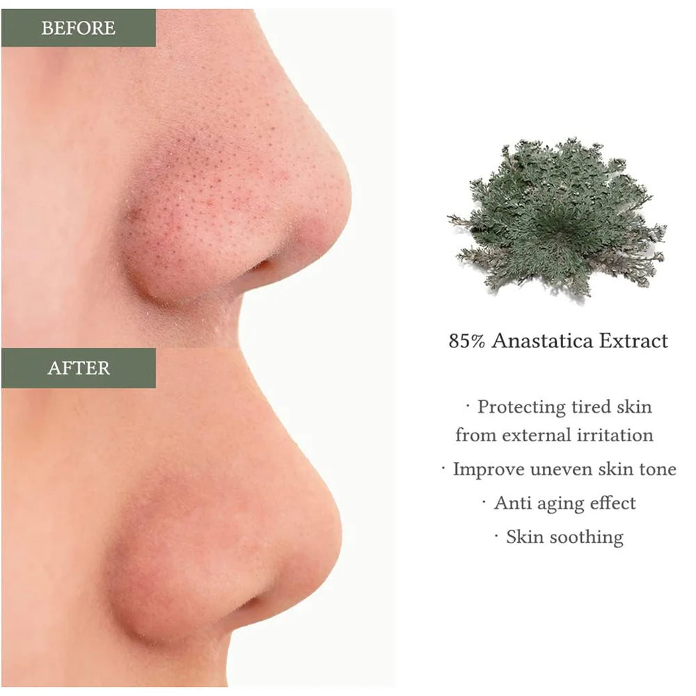 Anastatica Skin Conditioning Pad – Hidratación Calmante