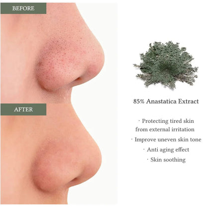 Anastatica Skin Conditioning Pad – Hidratación Calmante