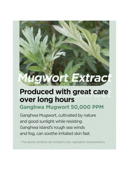 Mugwort Calming Cream – Calmante y calmante 50 ml